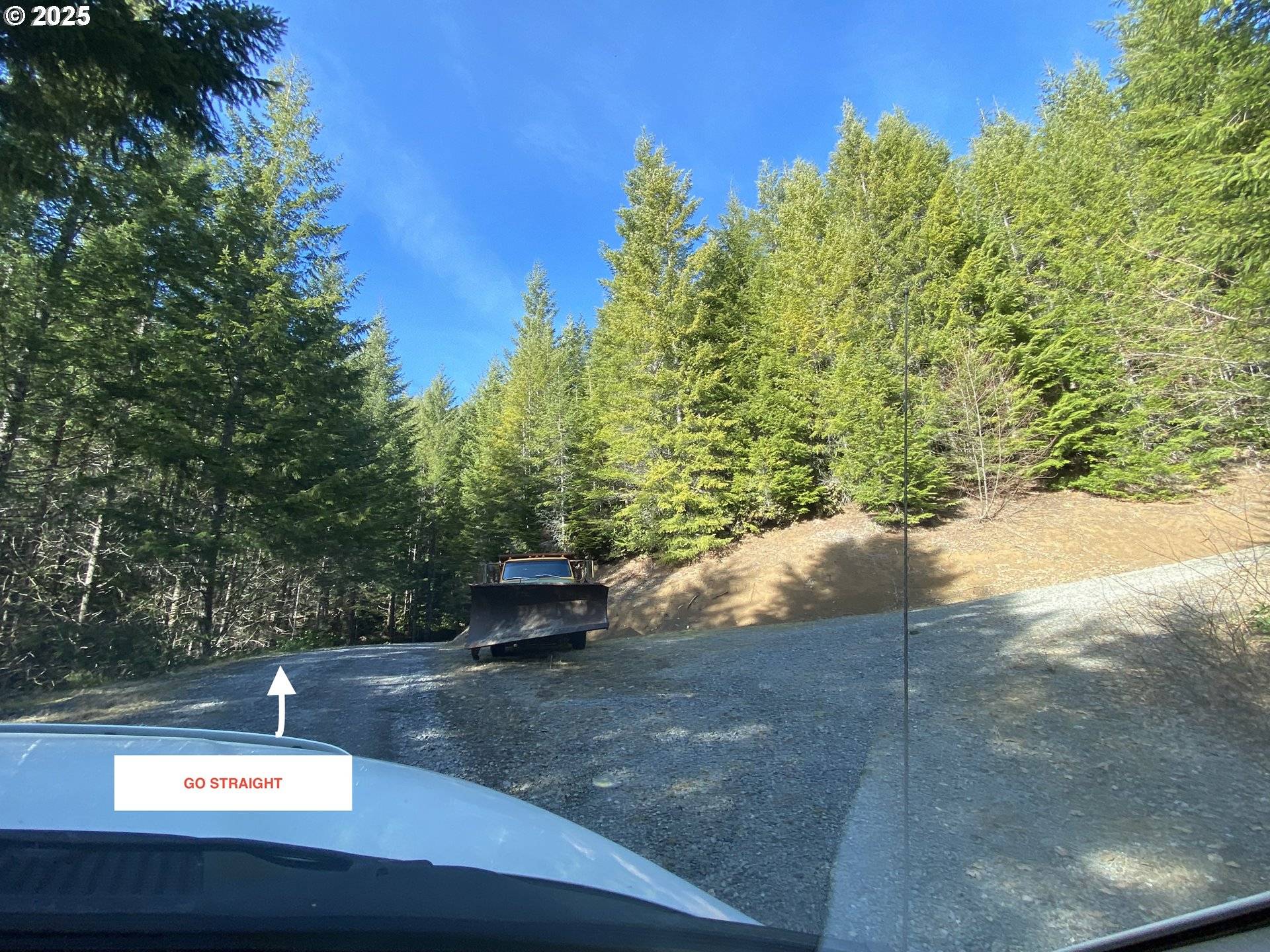 Cougar, WA 98616,CHEYEE RD