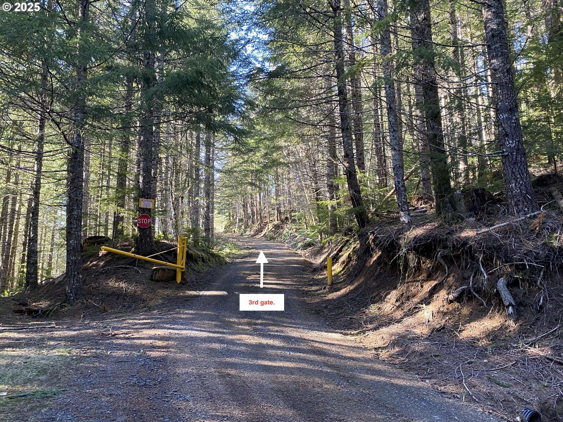 Cougar, WA 98616,CHEYEE RD