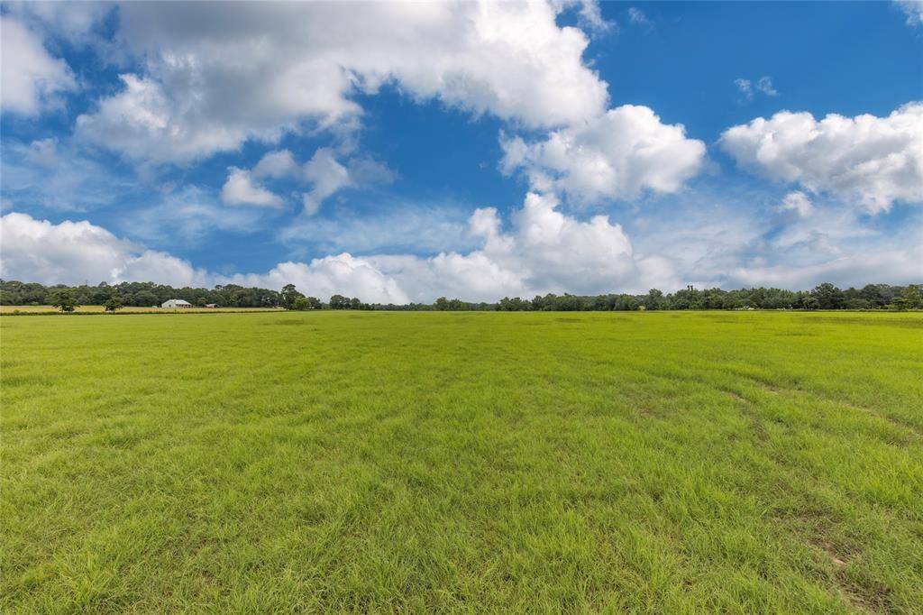 Quitman, TX 75783,13.1 Acres E State Highway 154