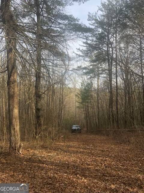 Ellijay, GA 30540,Lot 22 East Ridge Lane