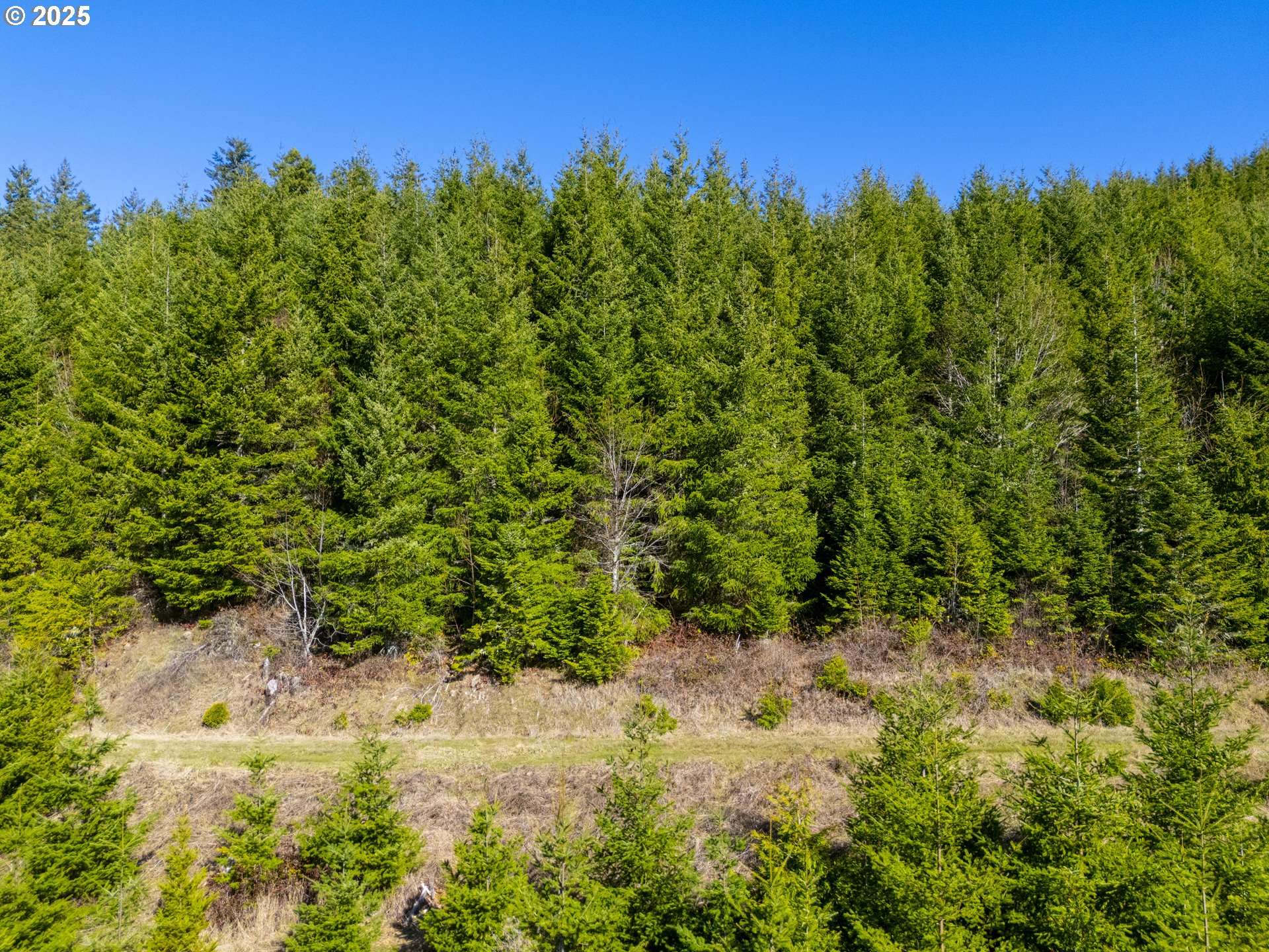 Creswell, OR 97426,Rodgers RD