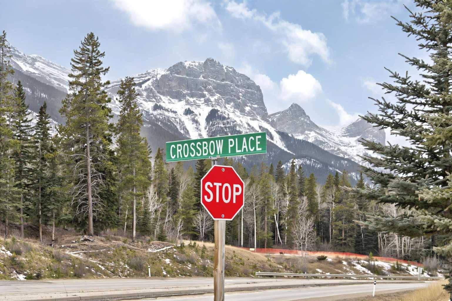 Canmore, AB T1W 3H5,150 Crossbow PL #104