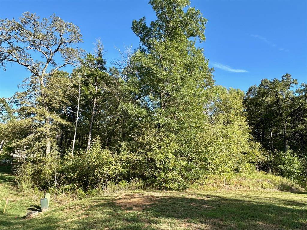 Gordonville, TX 76245,27A Annadale Lane