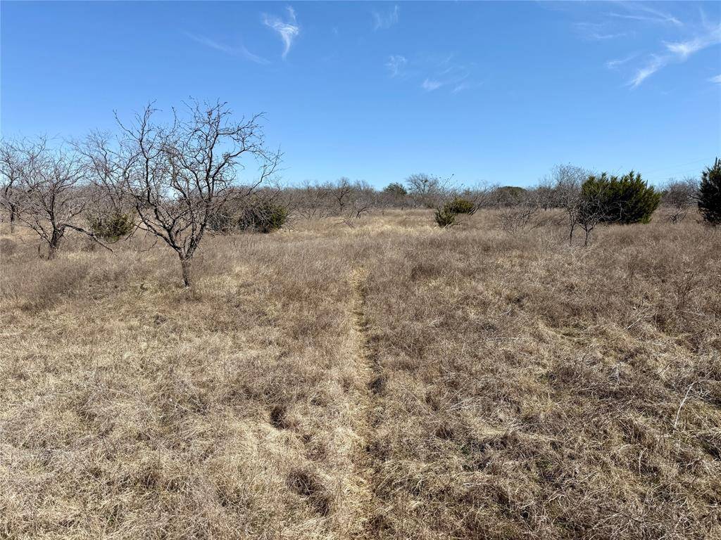 Blum, TX 76627,TBD Private Road 196