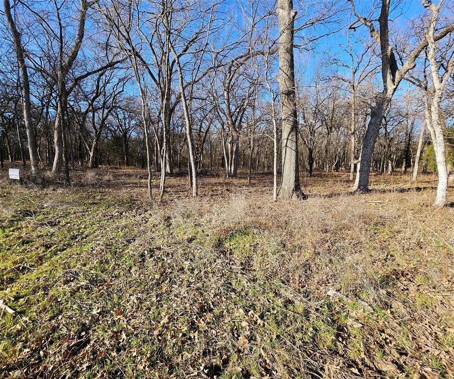 Alvord, TX 76225,Lot 221 Banjo Court