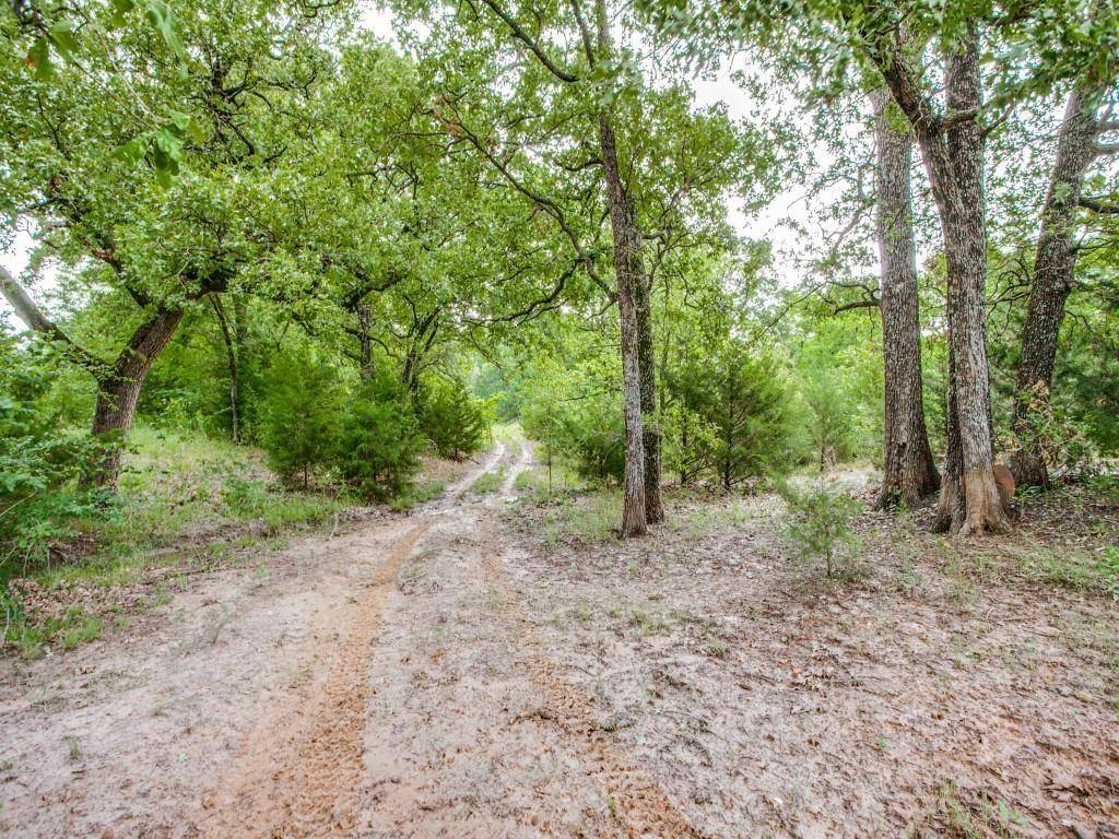 Ivanhoe, TX 75447,TBD FM-1396