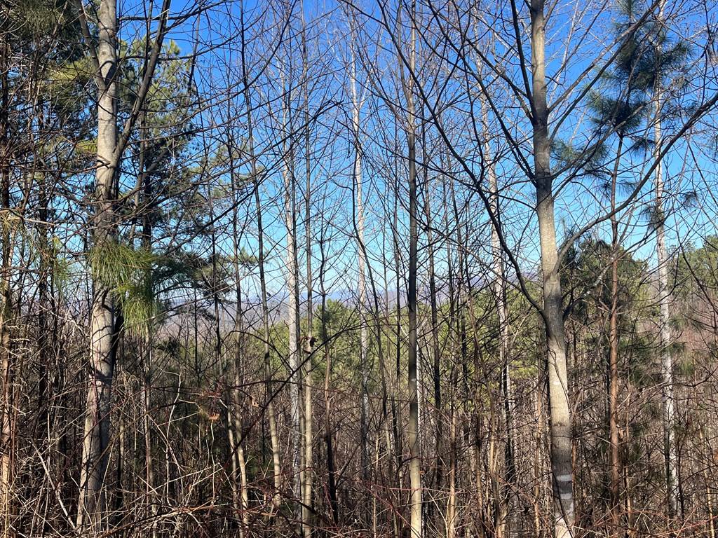 Blairsville, GA 30512,Lot 83 Ridge Peak View