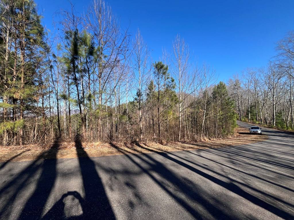 Blairsville, GA 30512,Lot 83 Ridge Peak View