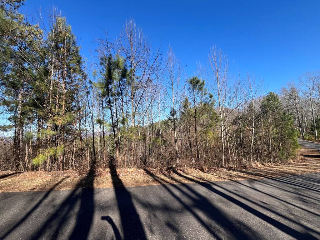 Blairsville, GA 30512,Lot 83 Ridge Peak View