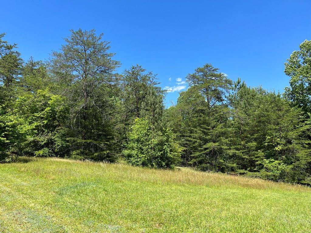 Hayesville, NC 28904,Lot 46A Mountain Harbour Lot