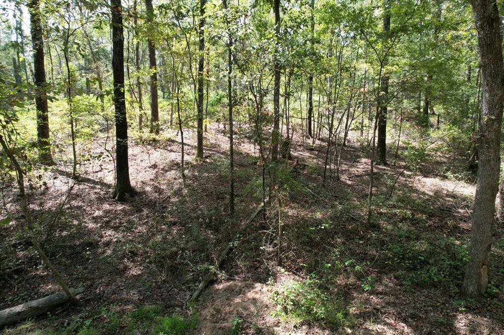 Winnsboro, TX 75494,29.385 Acres SE County Road 3470