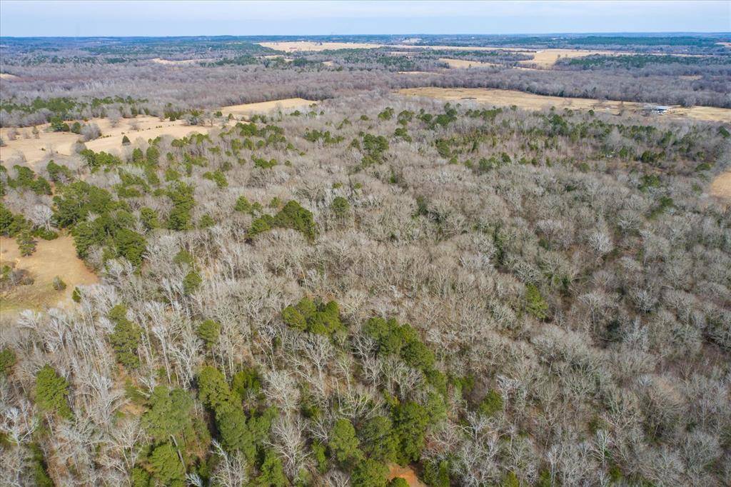 Ben Wheeler, TX 75754,TBD County Road 4917