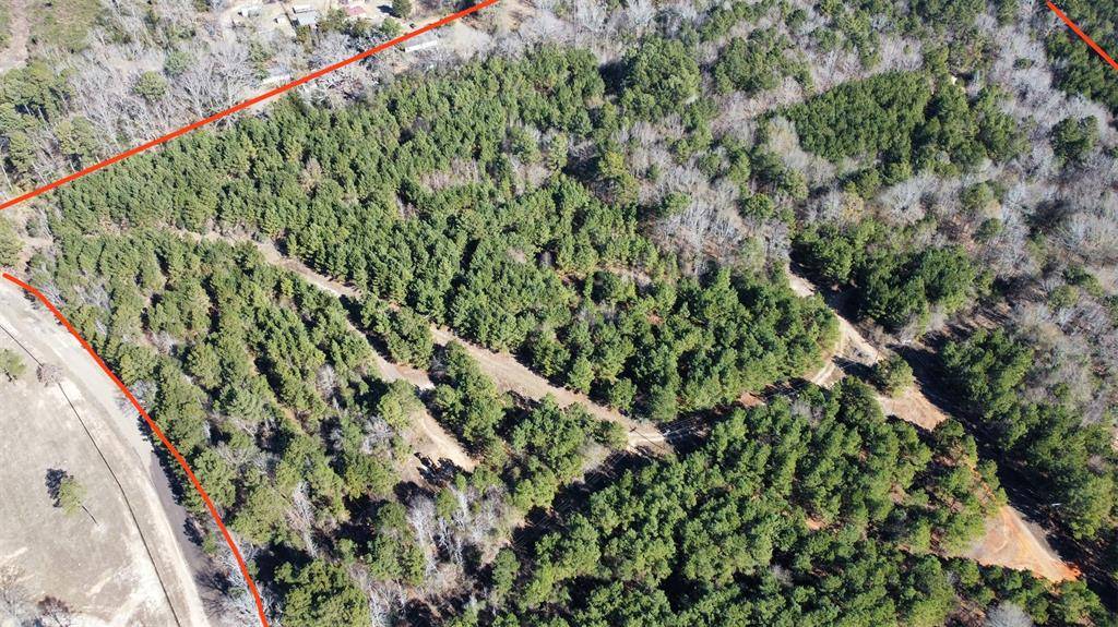 Overton, TX 75684,9928 County Road 144 N