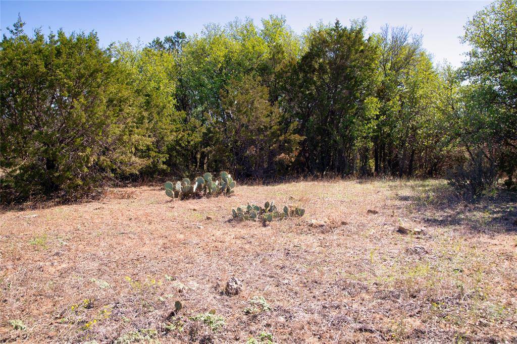 Mineral Wells, TX 76067,Lot 100 Dollar Pt Court