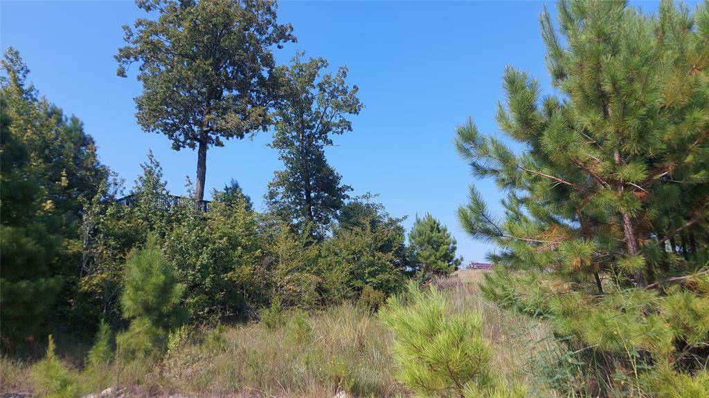 Maud, TX 75567,92ac County Rd 4171