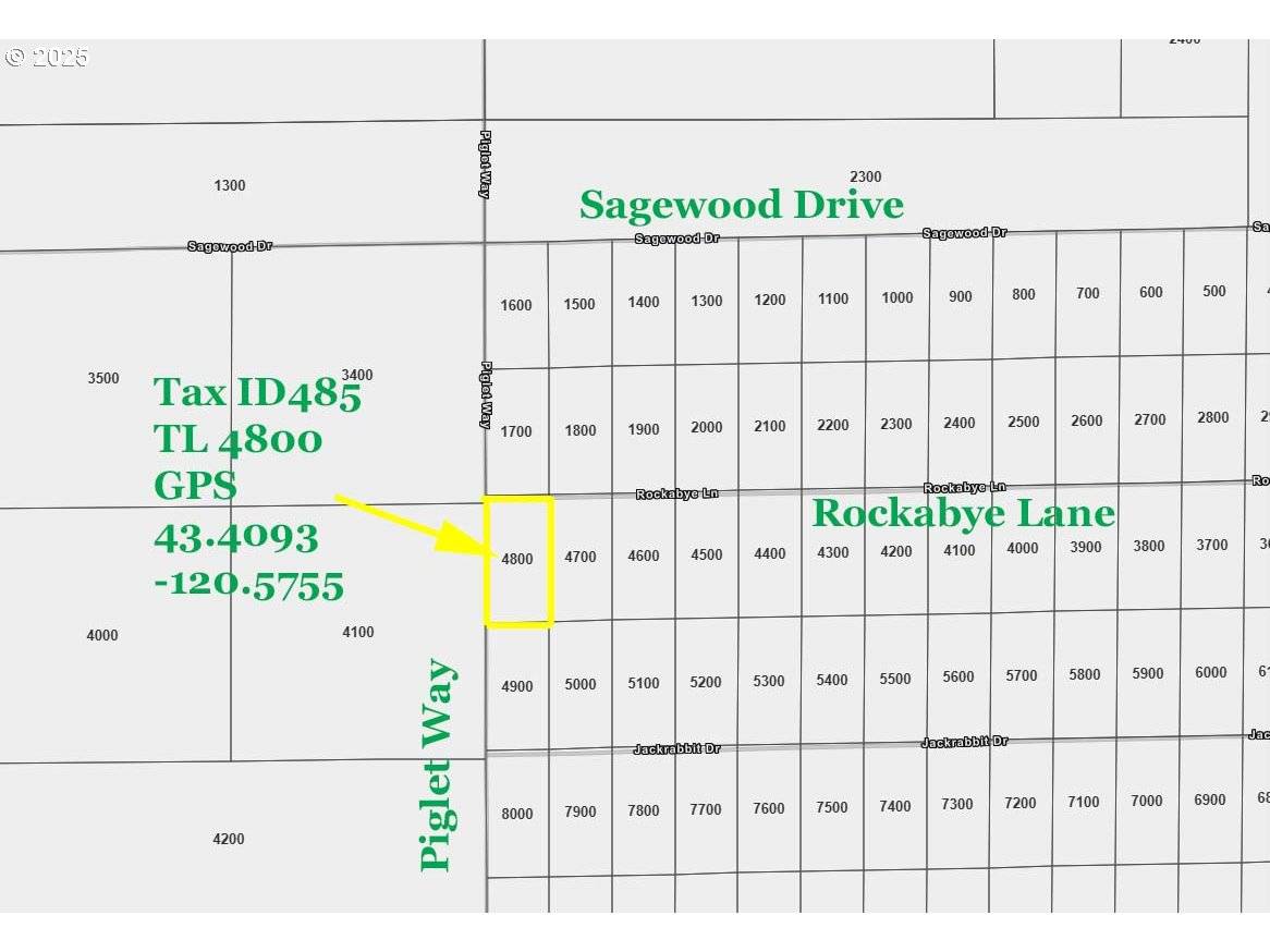 Christmas Valley, OR 97641,Piglet WAY #TL 4800