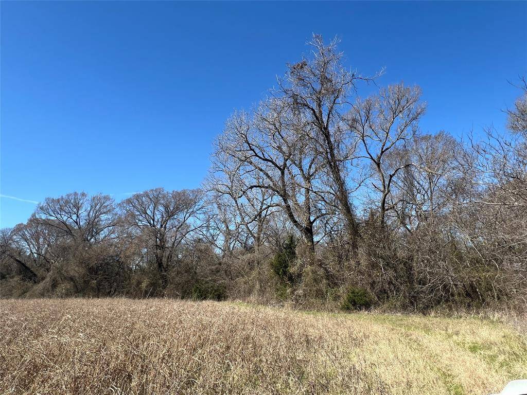 Blooming Grove, TX 76626,TBD NW County Road 4010