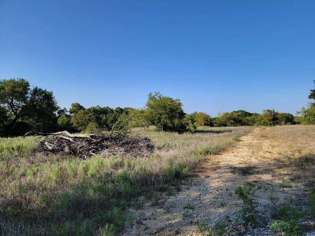 Boyd, TX 76023,115 Pecan Grove Drive