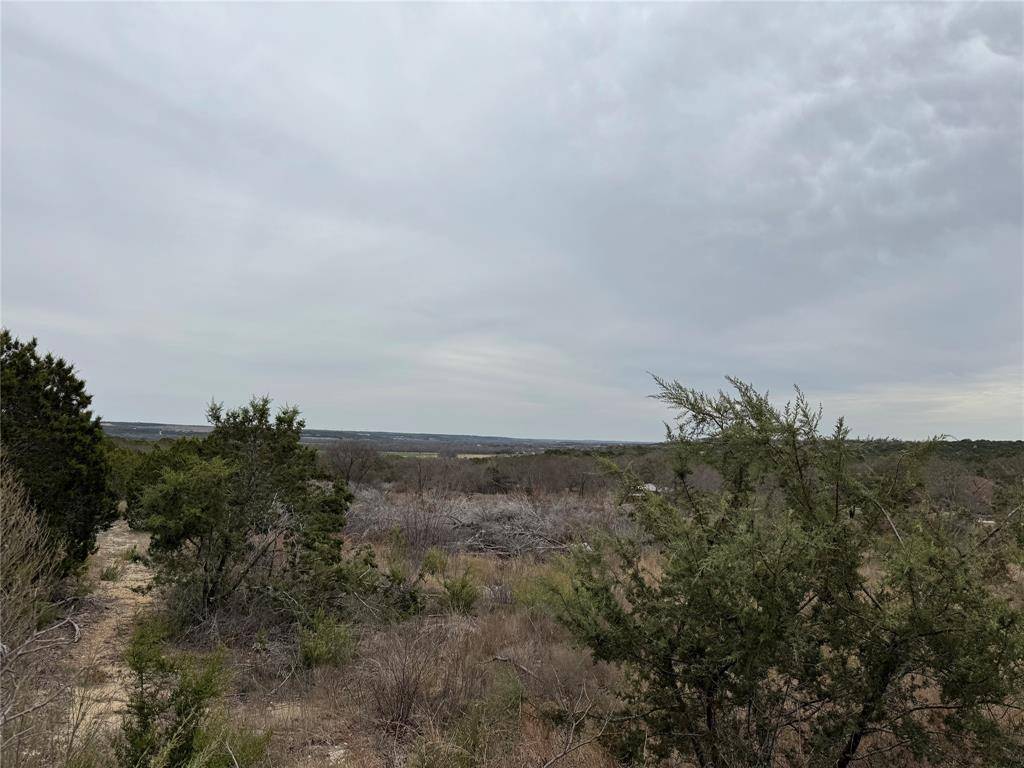 Bluff Dale, TX 76433,365 Magic Valley