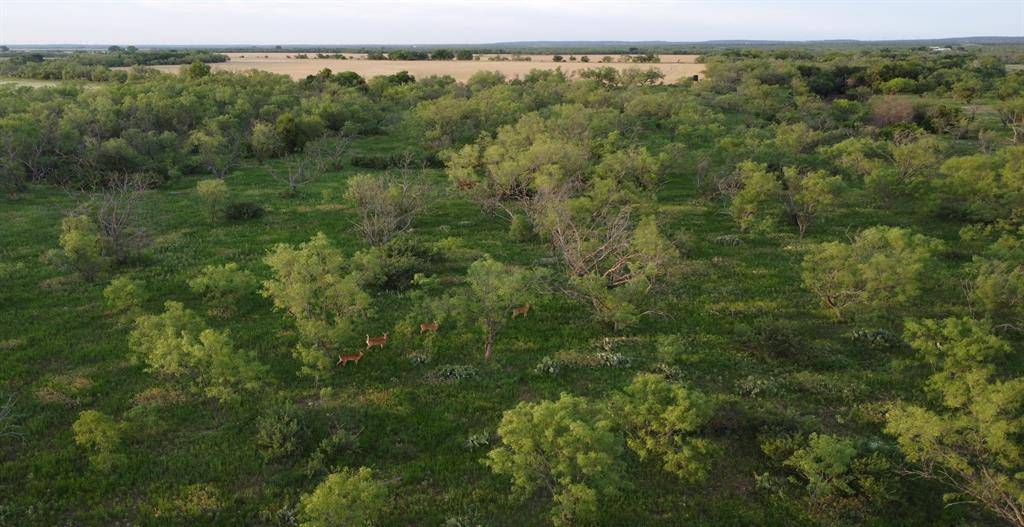 Wingate, TX 79566,TBD County Road 211
