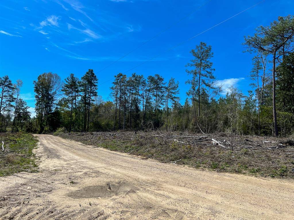 Kirbyville, TX 75956,1 County Road 443