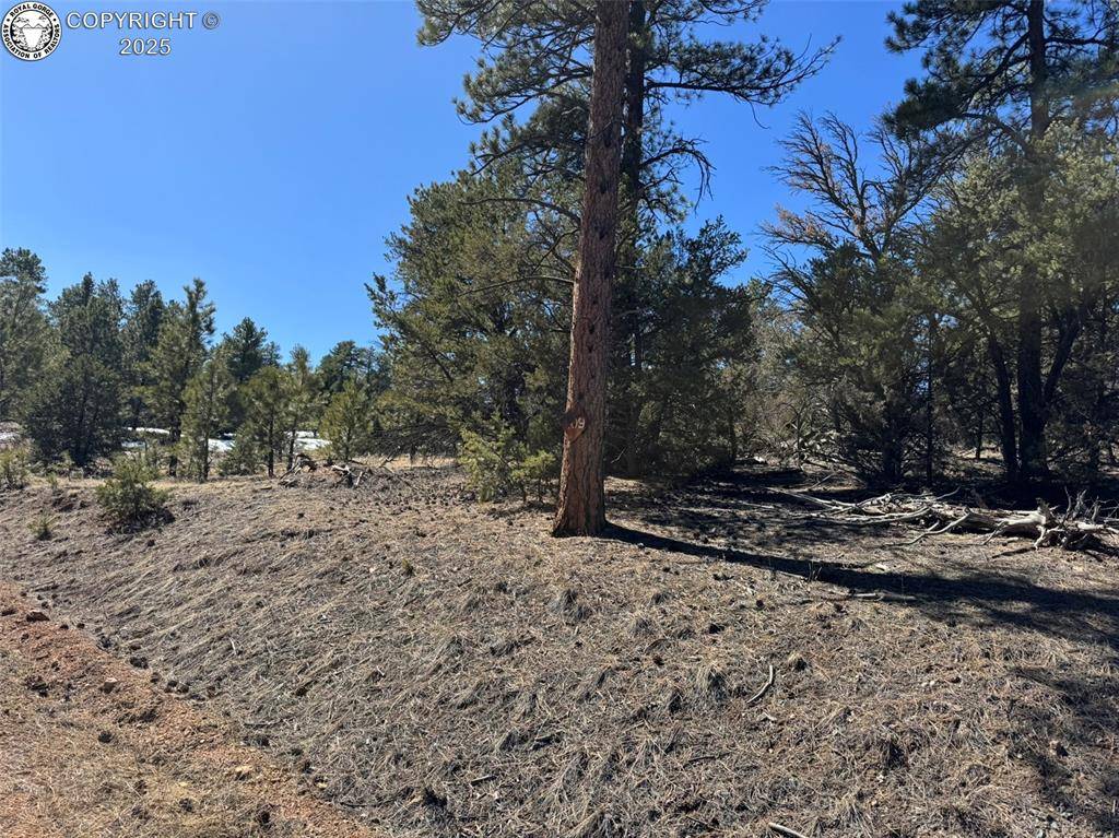 Cotopaxi, CO 81223,211 Bear LN
