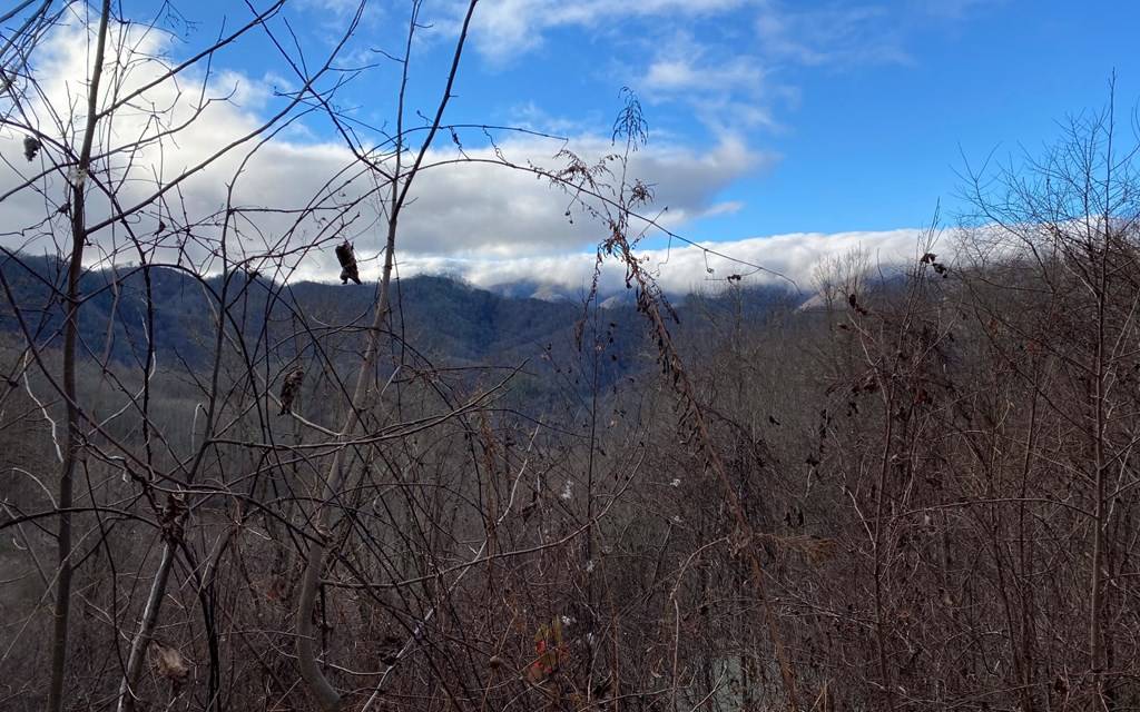 Bryson City, NC 28713,No# Buck Naked