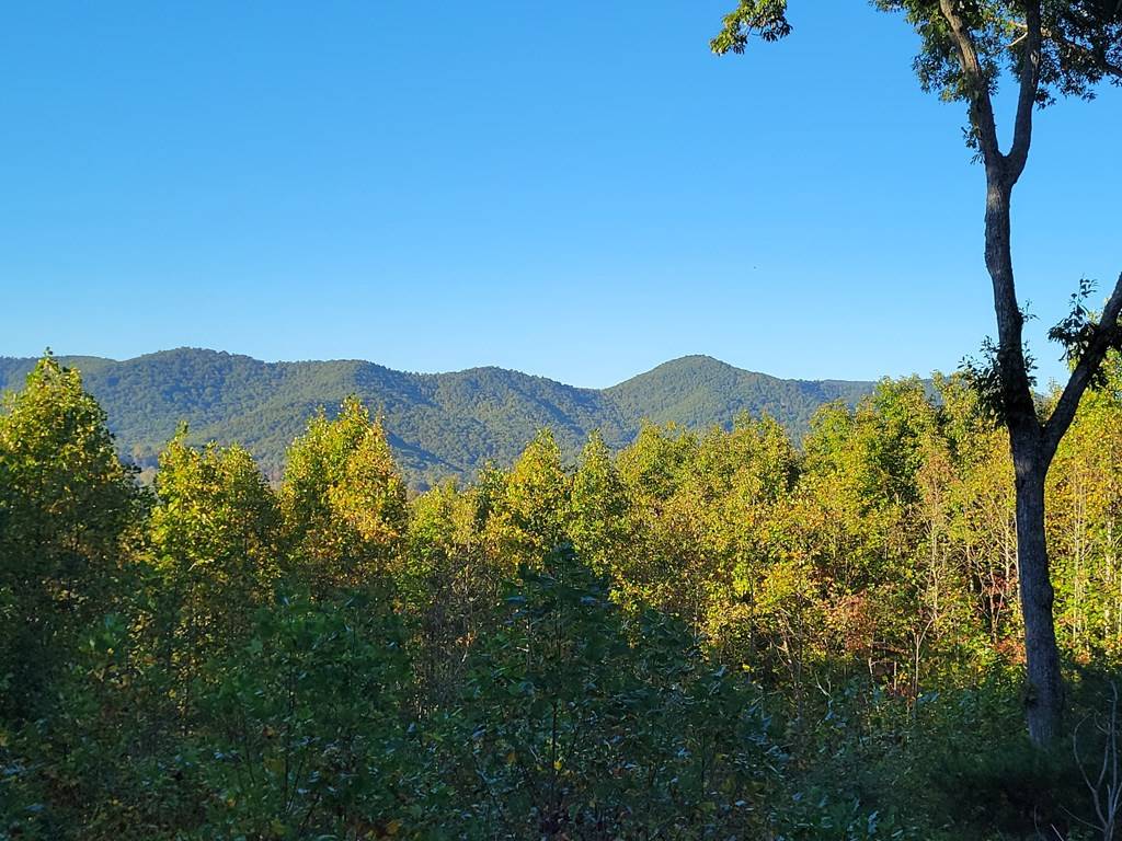 Blairsville, GA 30512,Lot 149 The Mountain