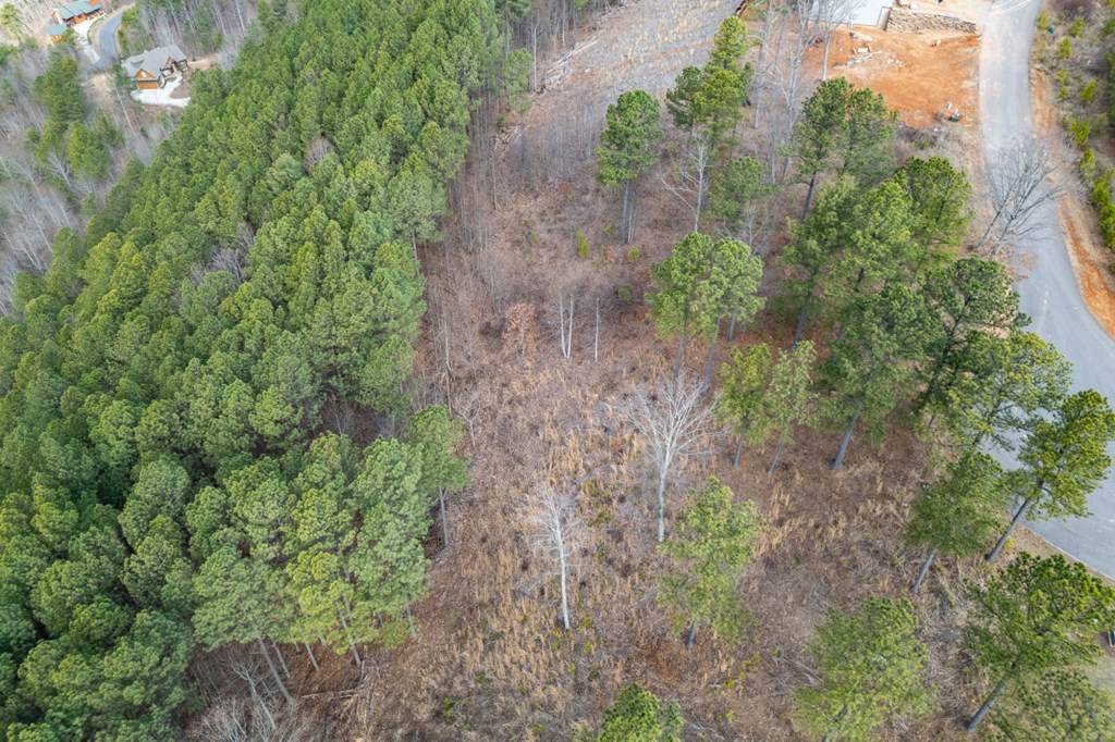 Blairsville, GA 30512,Lot 13 Thirteen Hundred