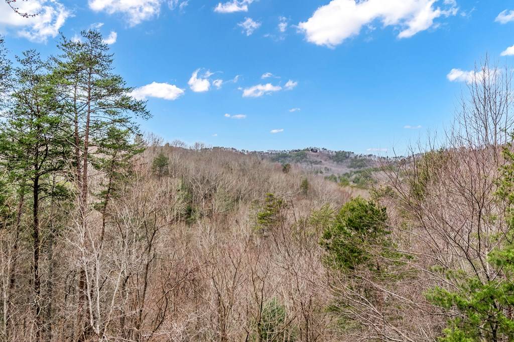 Blue Ridge, GA 30513,3680 Aska Road