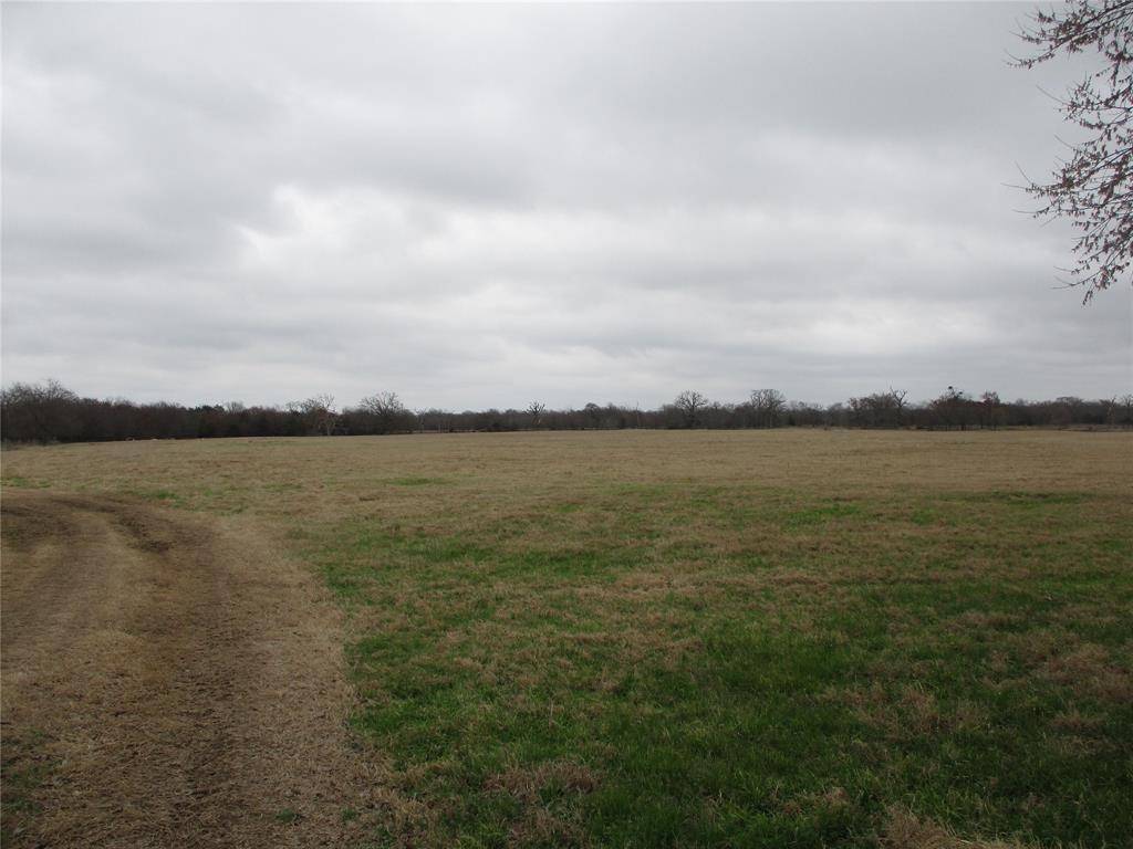 Emory, TX 75440,TBD S. F.M. 779