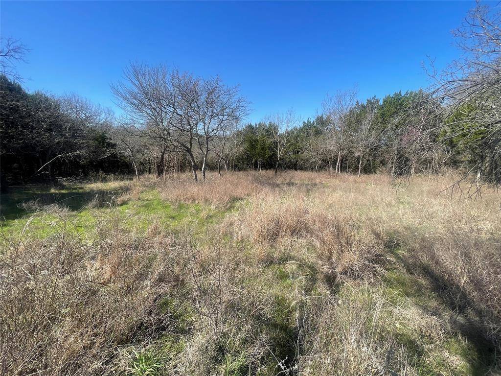 Whitney, TX 76692,1270 Paint Brush Court