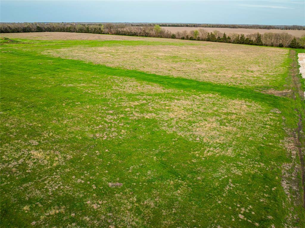 Blossom, TX 75416,Lot 11 Farm Rd 196