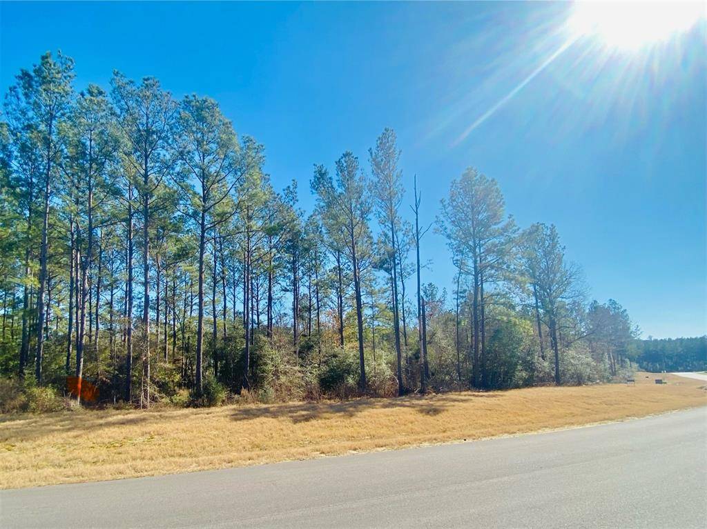 Willis, TX 77378,15396 Forest Grove Drive