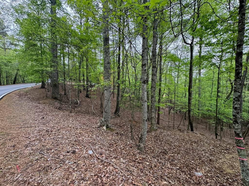 Ellijay, GA 30540,Lot 1833 Newport Drive