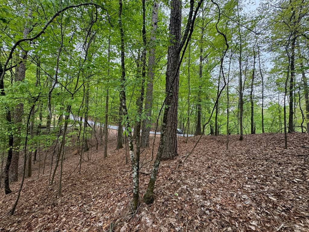 Ellijay, GA 30540,Lot 1833 Newport Drive