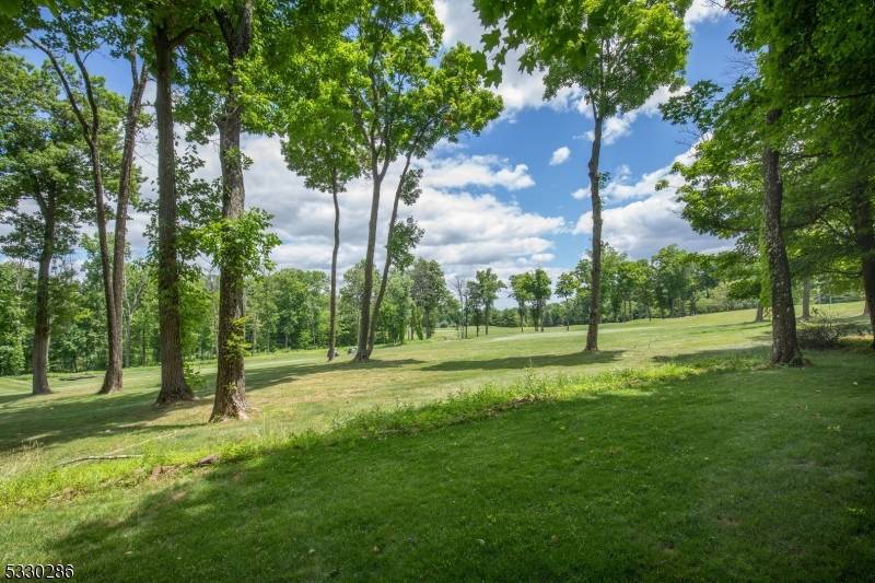 Bernards Twp., NJ 07920,11 Wellington Dr