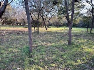 Buffalo Gap, TX 79508,233 Oak Street