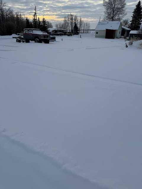 Lousana, AB T0M 1K0,1105 19th AVE