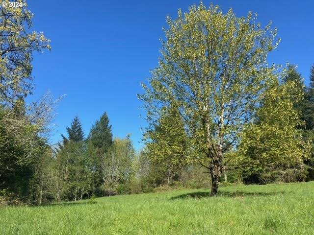 Scappoose, OR 97056,Branch Road