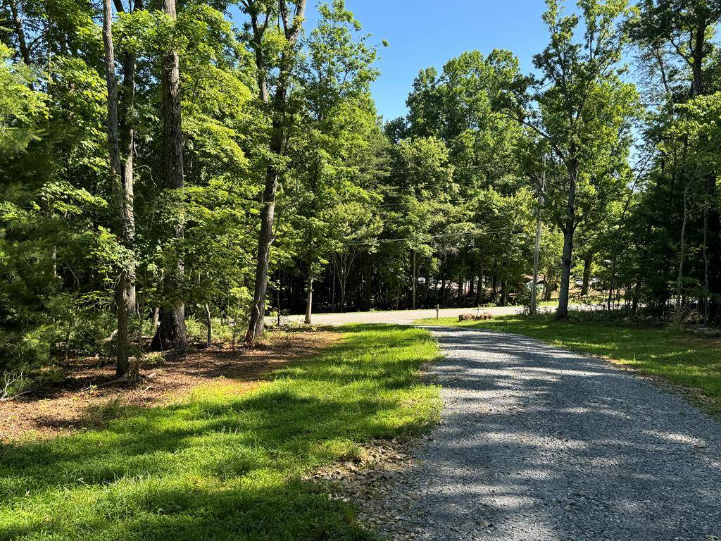 Mineral Bluff, GA 30559,3058 River Road