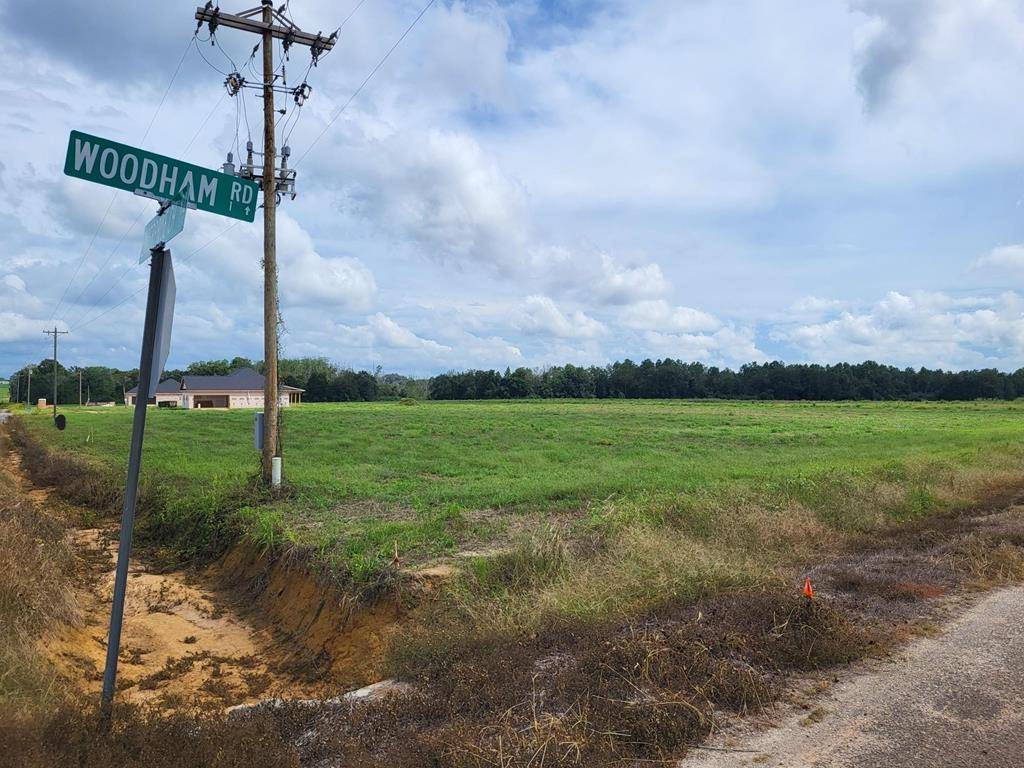 Ashford, AL 36312,Lot 13 Woodham Rd