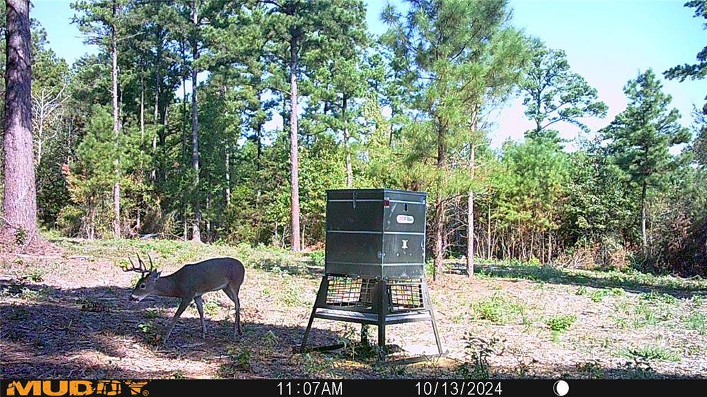 Ben Wheeler, TX 75754,TBD Pvt. Rd 8079 Road