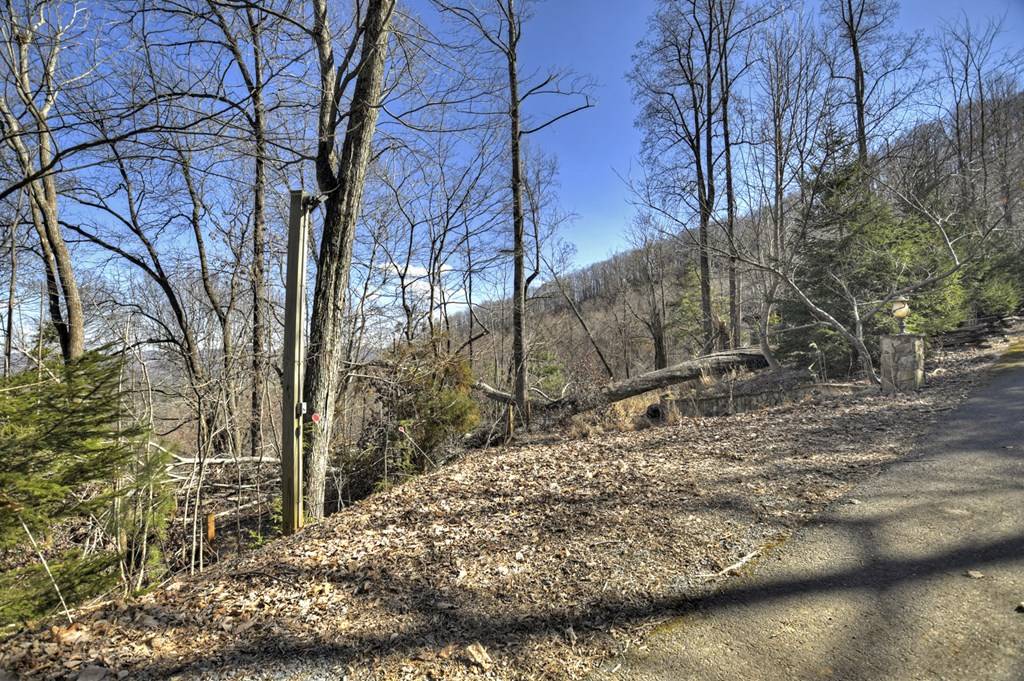 Blue Ridge, GA 30513,LOT 5 Lakeview Drive