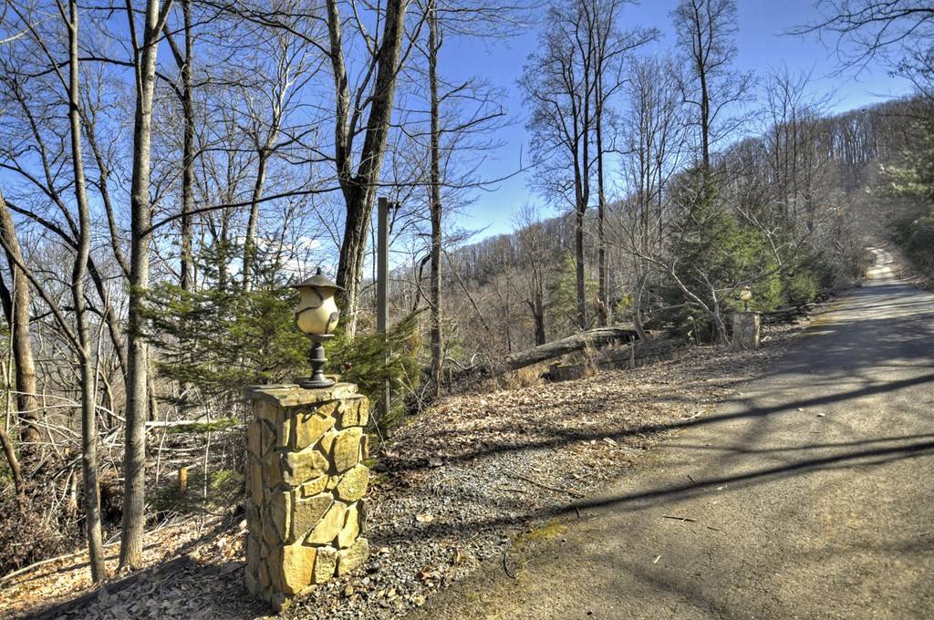 Blue Ridge, GA 30513,LOT 5 Lakeview Drive