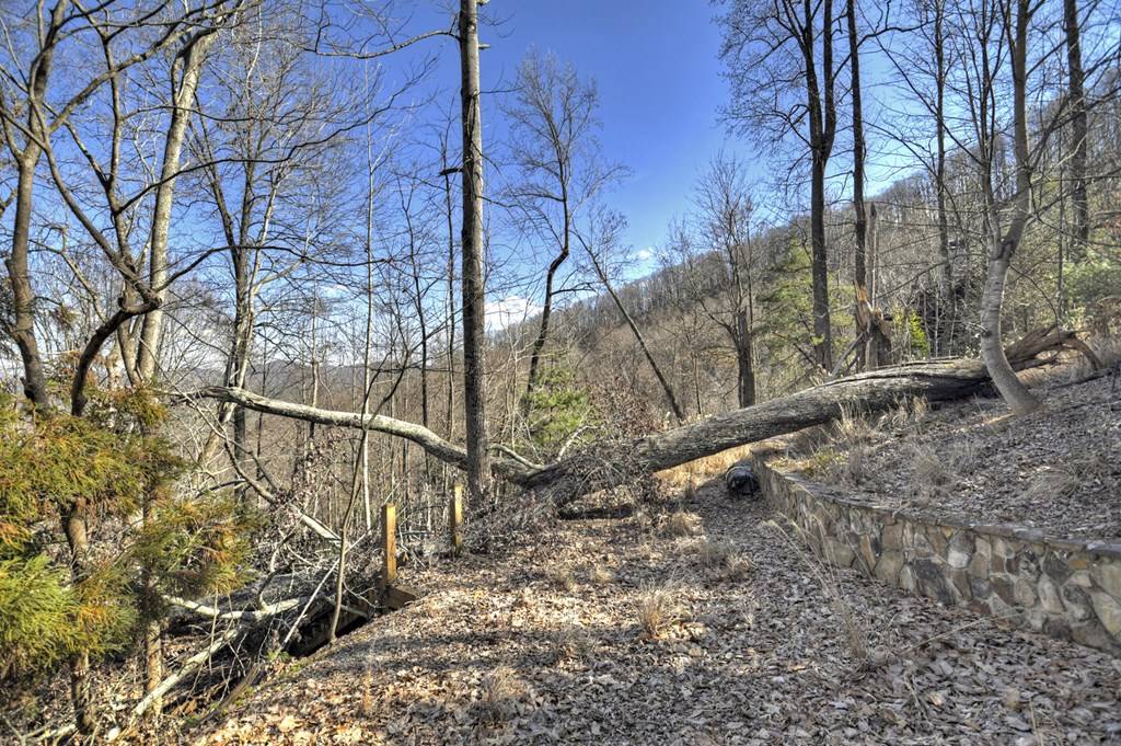 Blue Ridge, GA 30513,LOT 5 Lakeview Drive