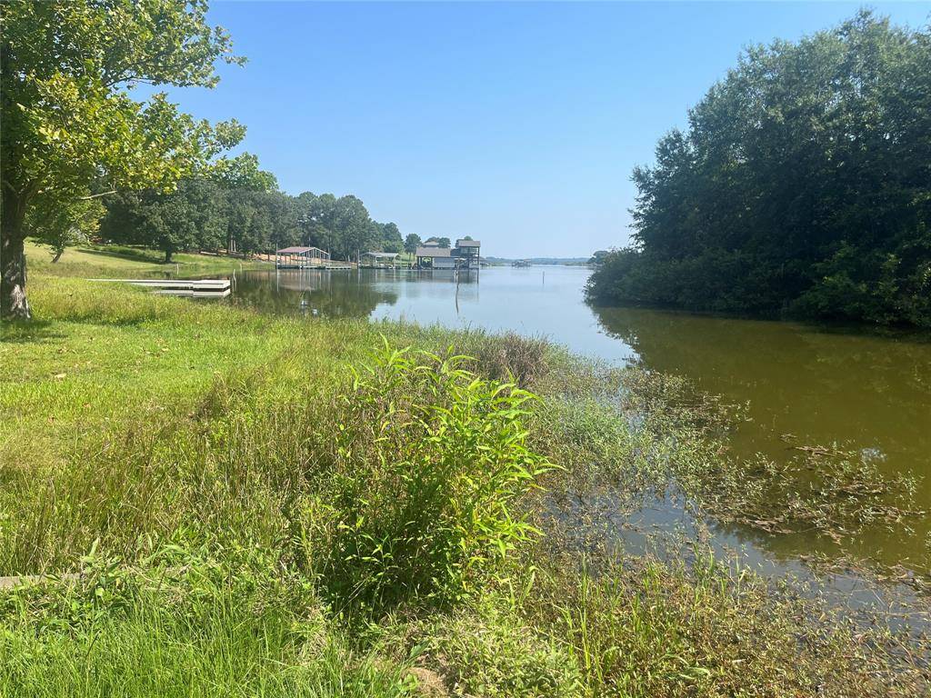 Pittsburg, TX 75686,lot 1 CR 2320