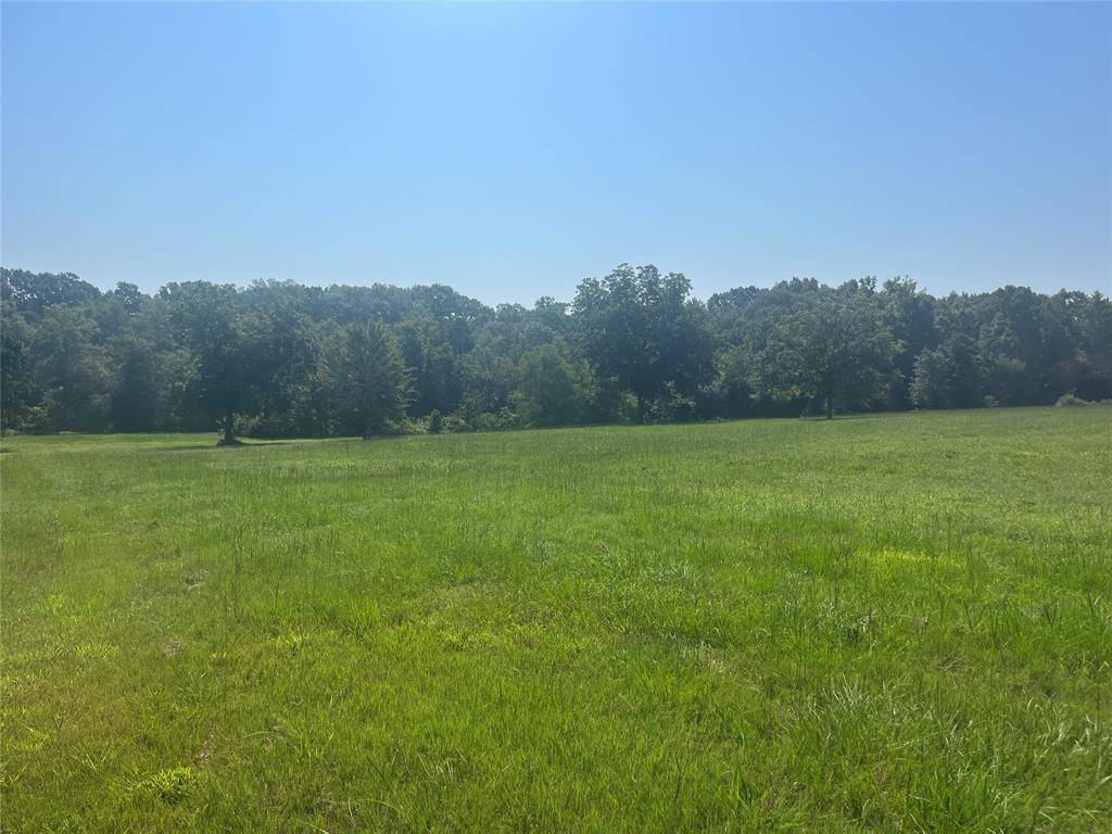 Pittsburg, TX 75686,lot 1 CR 2320