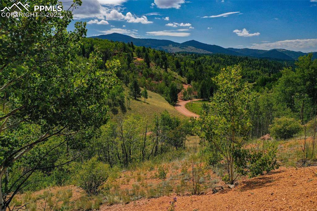 Cripple Creek, CO 80813,1300 Golden Cycle CIR
