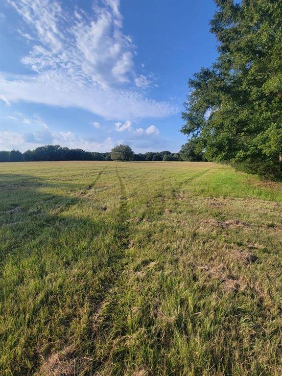 Telephone, TX 75488,TBD Fm-2029